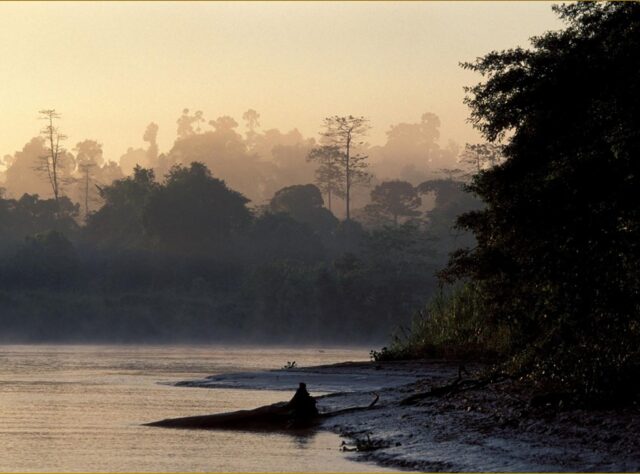 Kinabatangan forest, Borneo, at sunset