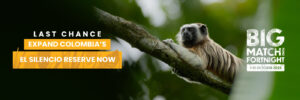 Expand Colombia's El Silencio Reserve now