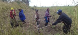 Local community members cut back a 10-metre wide strip of earth around the planted areas, creating an effective firebreak. Credit: Reforest Africa