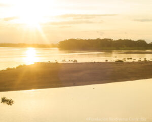 A view of wetlands at El Silencio