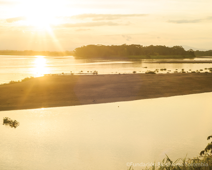 Marshes in the lowland floodplains of El Silencio