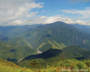 Panoramic view of of mountainous, forested habitat in Gabaldon