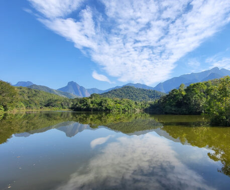 A panoramic view of the wetlands at REGUA