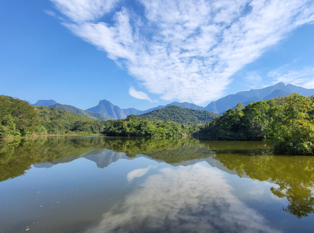 A panoramic view of the wetlands at REGUA