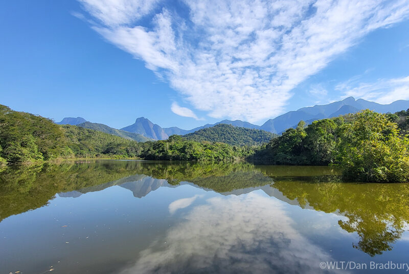 A panoramic view of the wetlands at REGUA