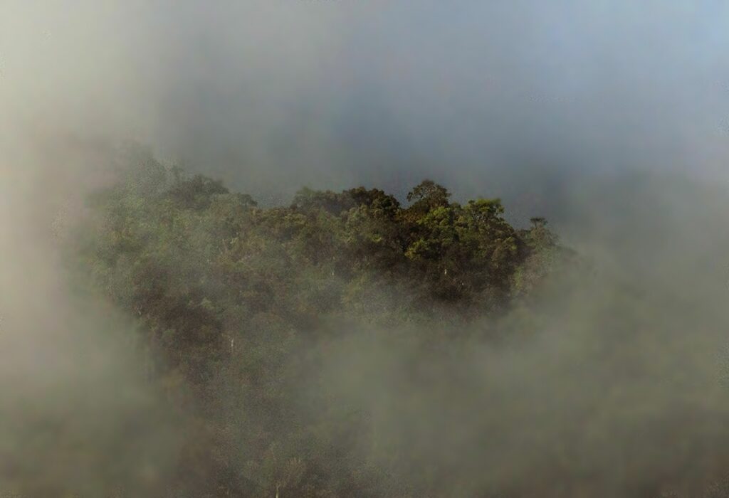 A photograph of cloud rising over the forests of EcoMinga's Río Machay Reserve in Ecuador