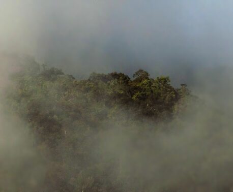 A photograph of cloud rising over the forests of EcoMinga's Río Machay Reserve in Ecuador