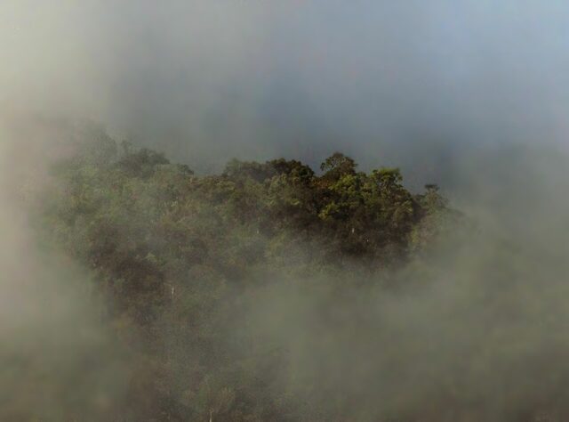 A photograph of cloud rising over the forests of EcoMinga's Río Machay Reserve in Ecuador