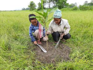 Two women planting a tree for WTI.