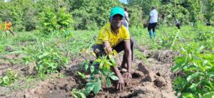 A photograph of a young man planting trees at Reforest Africa's project site in the Magombera Nature Forest Reserve.