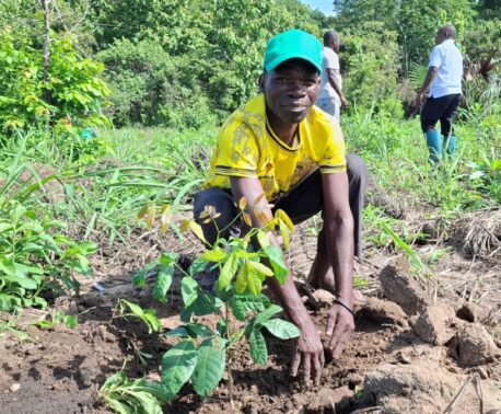 A photograph of a young man planting trees at Reforest Africa's project site in the Magombera Nature Forest Reserve.