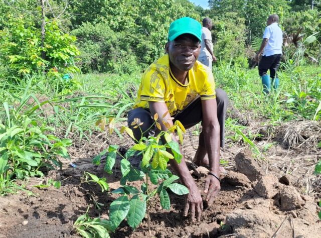 A photograph of a young man planting trees at Reforest Africa's project site in the Magombera Nature Forest Reserve.