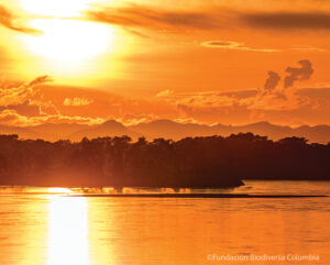 A sunset view of wetlands. El Silencio