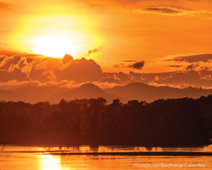 A sunset view of wetlands. El Silencio