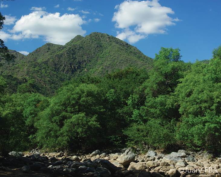 Chaco Taguá Biological Corridor