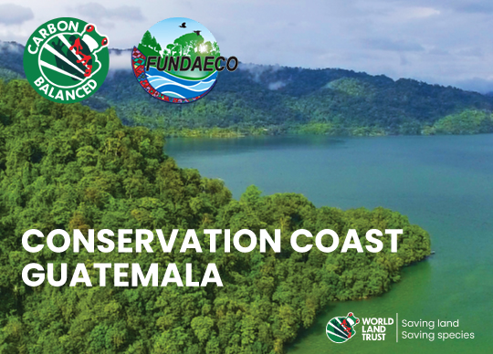 Conservation Coast, Guatemala