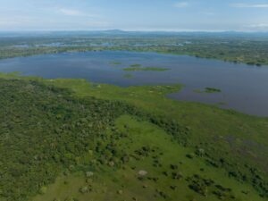 Aerial photograph of the El Silencio Reserve wetlands, showing the vast expanse of riparian habitat this appeal will help protect.