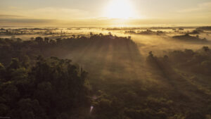 drone shot of sun rising over the forests of El Silencio reserve