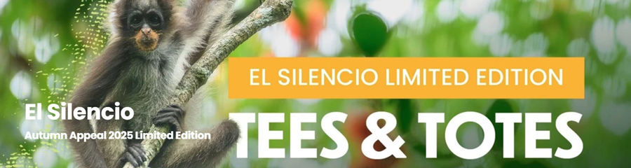 El Silencio merchandise