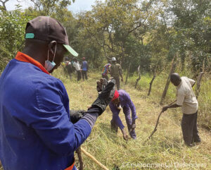 Nyamukiono reserve fireline and boundary demarcation, Uganda.