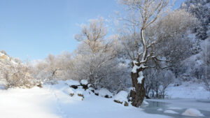 A snowy scene in the Caucasus Wildlife Refuge, Armenia