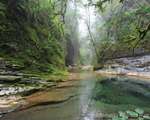 A view along a highland creek in Sierra Gorda, Mexico