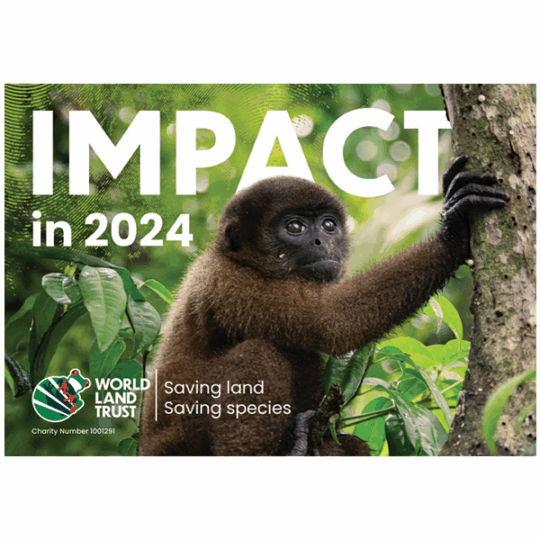 WLT Impact Report 2024