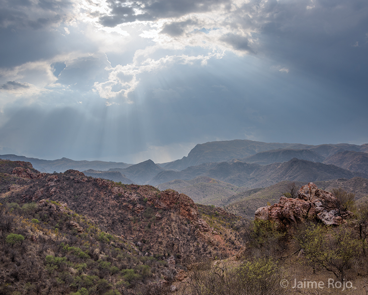 A panoramic view of the Jaguar del Norte reserve