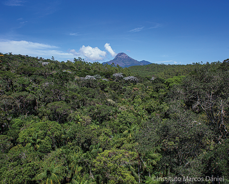 A panoramic view of the Kaetés Forest Reserve