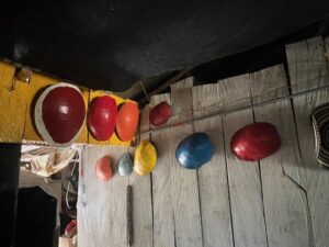 9 painted turtle shells hanging on a wooden wall in a house in the village of Barcos de Barbacoas. These show how large the turtle can grow.
