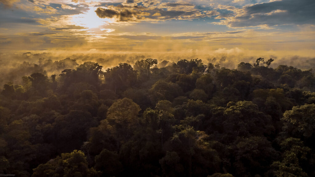 The sun rises over the canopy of trees at the El Silencio Reserve