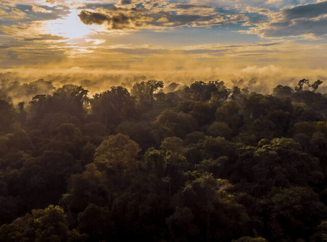 The sun rises over the canopy of trees at the El Silencio Reserve