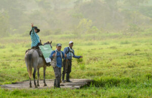 Three members of the FBC team look back at the camera as they cross the wetland on foot and horseback