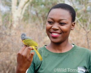 Conservation student bird ringing at GUNR.