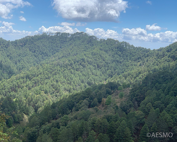 Volcan Pacayita, Honduras