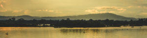 A panoramic view of the Barbacoas wetland