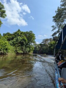 A boat travels along a calm river surrounded by dense trees on either riverbank