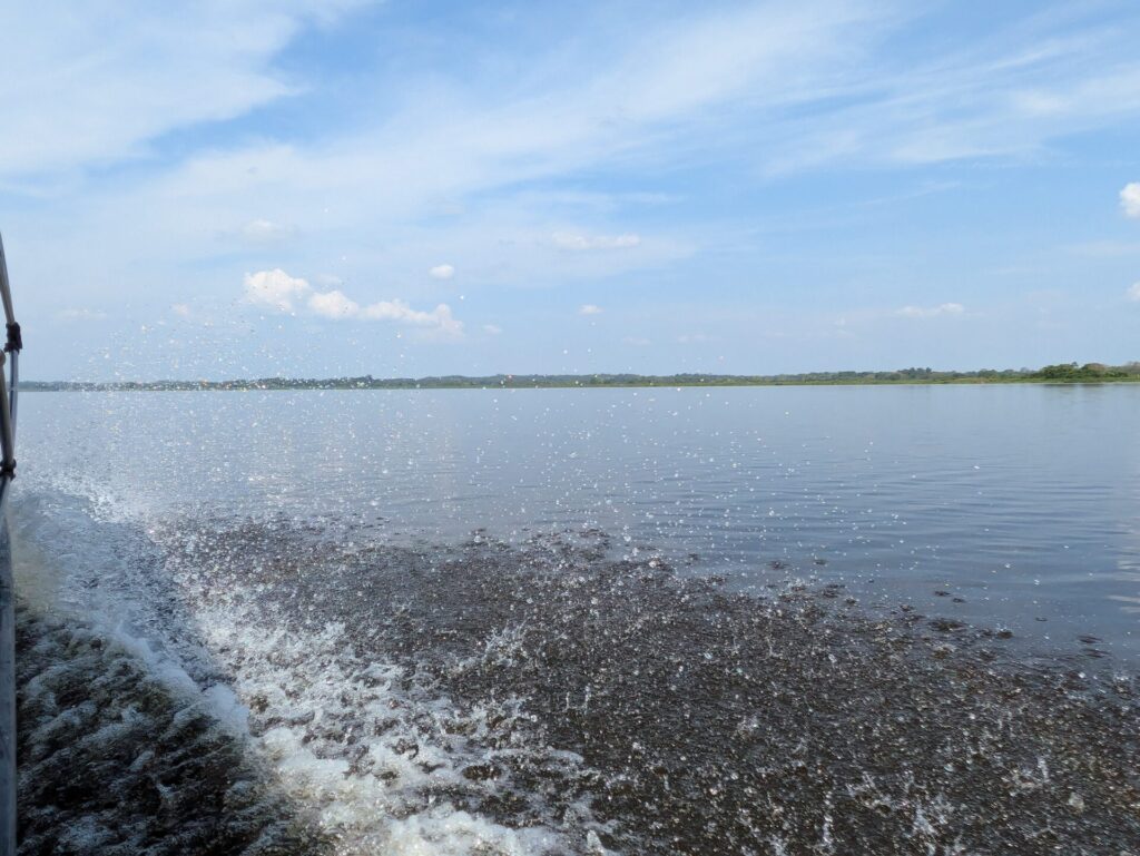 A mass of bubbles surface beside a boat as it travels across a calm expanse of water with trees in the distance