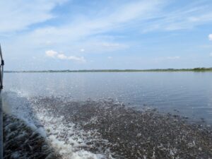 A mass of bubbles surface beside a boat as it travels across a calm expanse of water with trees in the distance