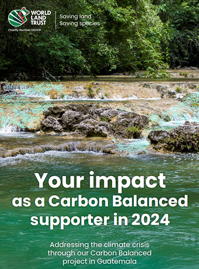 Carbon Balanced: Conservation Coast, Guatemala