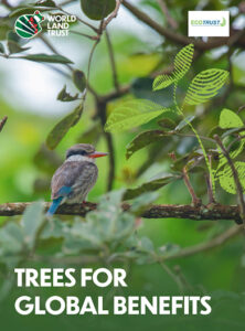 Carbon Balanced: Albertine Rift, Uganda