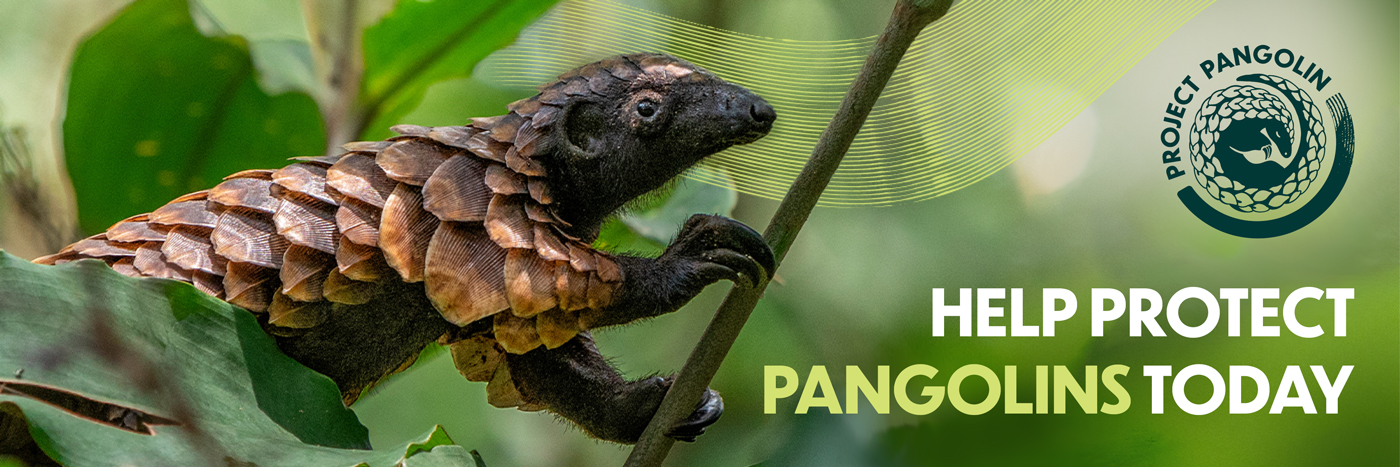Project Pangolin