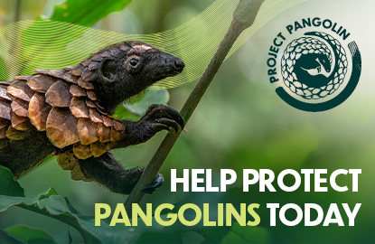 Project Pangolin