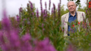 Sir David Attenborough © Alamy Stock Photo