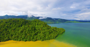A photo of the coastline in Caribbean Guatemala, showing rich green forests, golden sands, and azure seas.
